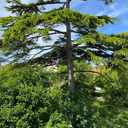 Elegante Centre Proche Plages 3 3 Grands Lits